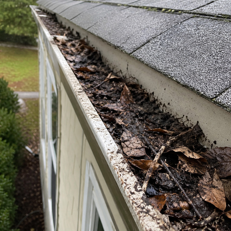 Gutter cleaning
